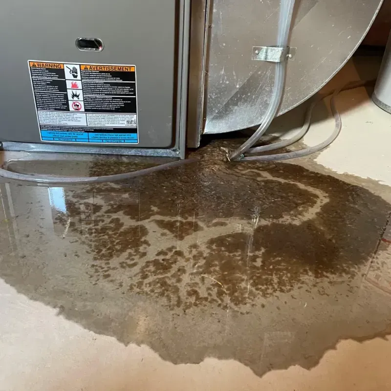 Appliance Leak Cleanup in Floyd County, KY